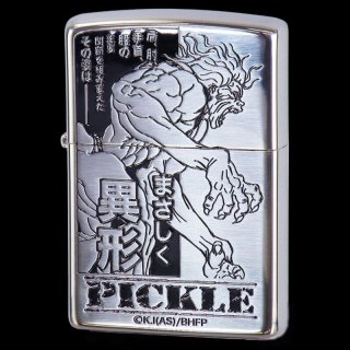 Zippo Princess Mononoke San Studio Ghibli Hayao Miyazaki Japan Limited Anime  NZ-37